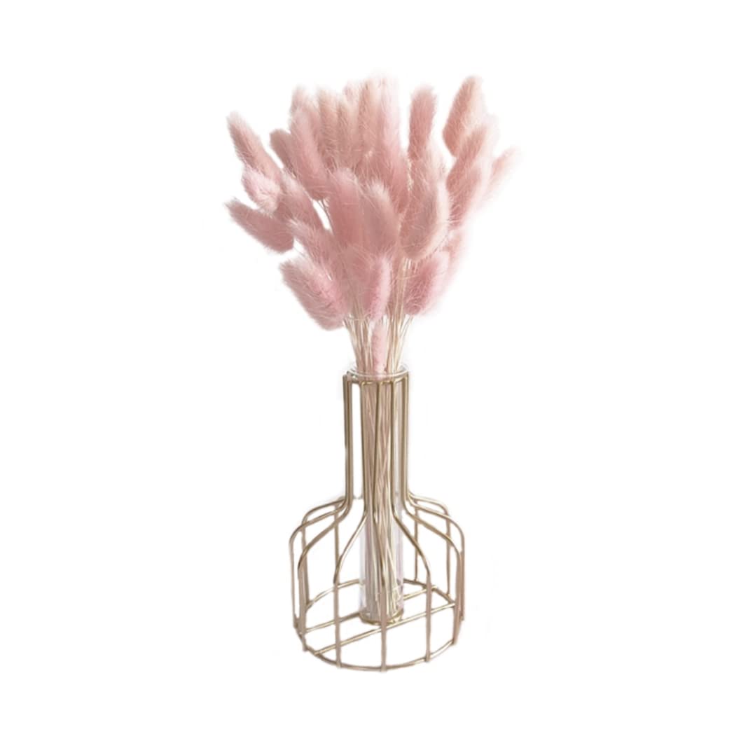 Fleur queue de lapin naturelle lumineuse et duveteuse de 50 cm - Bouquet champêtre