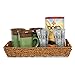 The Lucky Clover Trading Coffee Rectangular Seagrass Tray Basket, 14