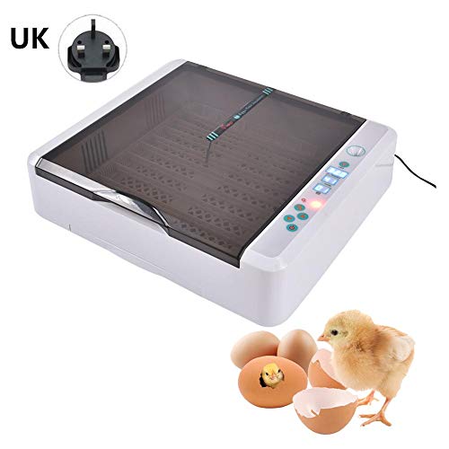 Makluce Egg Incubator Fully Automatic Digital Intelligent Home Incubator Suitable For 12-120 Pieces