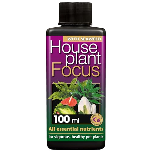 Houseplant Focus Liquid Fertiliser, 100ml