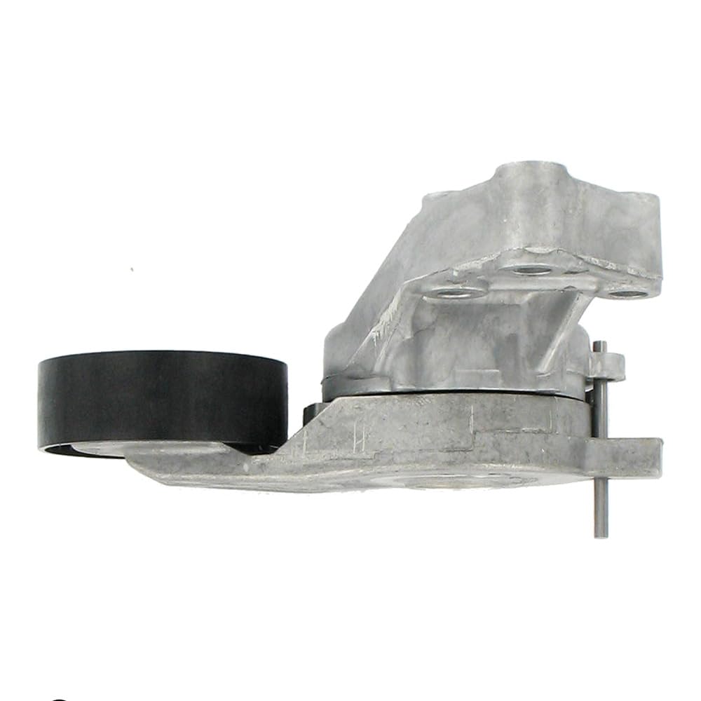 SKF VKM 31019 Kit Tensor Multi-V