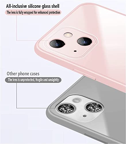 Coque iPhone 13 antichoc dos verre trempé transparent
