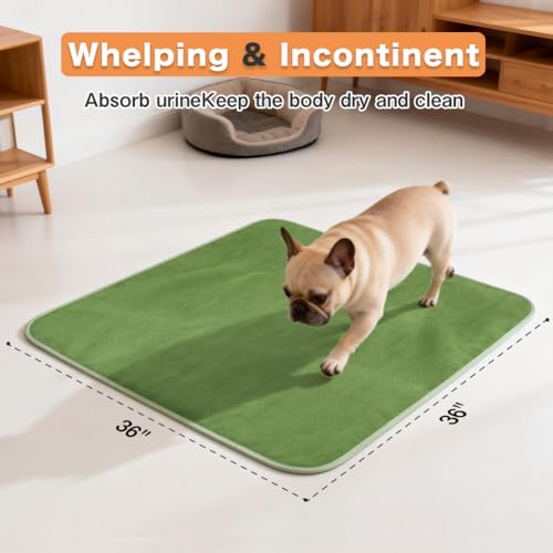 Image of Washable Pee Pads for Dogs, Extra Large Reusable Dog Pee Pad, Waterproof Pet Mat, Dog Playpen Mats for Puppy Training Whelping Playpen Pads, Green, 36x36 inch