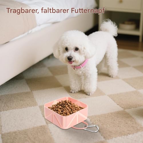 Hundeschale - Collabsible Haustiernahrung Container | 500 ml FALTING Puppy Waterer | Hundewasserversorgungsanleitungspender für Kätzchen Car RV Travel Wanderwanderung Strandboot Outdoor Aktiv