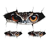 Dogary 3 PCS Black Owl Eye Sticker, Funny 3D Realistic Car Body Sticker, Scratch Covering Waterproof Decal, Universal Self-Adhesive Car DIY Decorative Accessories (Multicolored)