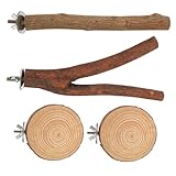 DOITOOL Ensemble De Jeu pour Oiseaux 4 Pièces pour Perroquets Grands Oiseaux Perchoir pou...