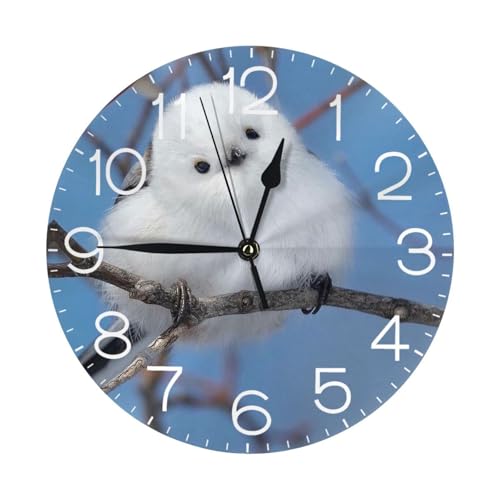 Ǌ|v V}GiK  kC ̗d ₷ Abj É  y a25cm X^ht EǊ|p CeA rO Q ItBX Lb`ɍœK Vv