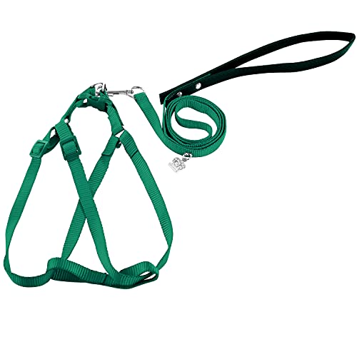 amazon.ae New Releases The bestselling new & future releases in Small