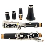 Clarinetto In Sib Con Custodia 17 Tasti Materiale Superficiale...
