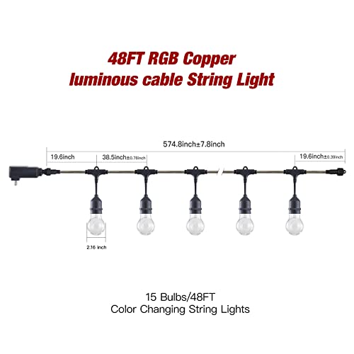 Ipstank Rgb String Lights Color Changing, Outdoor String Light With Rgb Flashing Rope, A55 Globe String Lights With Luminous Rope For Outside Patio Backyard Christmas Holiday Party, 48Ft #TOP4