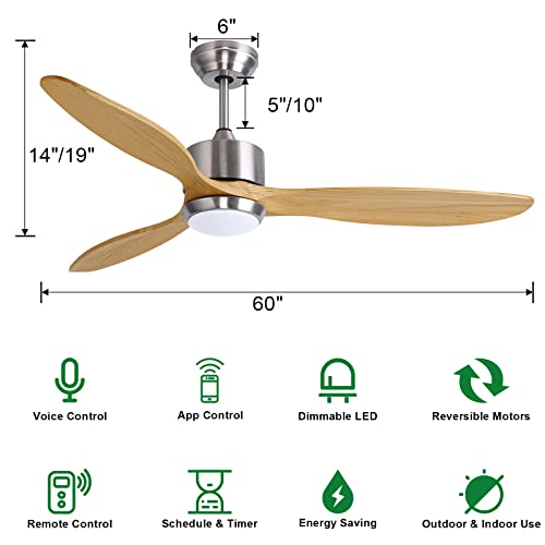 Ovlaim 60 inch Led Ceiling Fan Crazymos