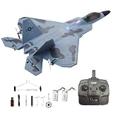 Park10 Toys RC Plane F22 Raptor Model 4CH RC Fighter Jet with LED Light