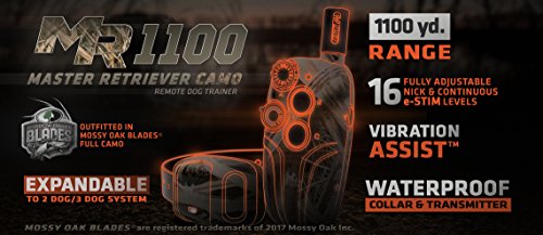 Dt Systems - Master Retriever 1100 In Camo Pattern, One Size Fits Most #TOP6