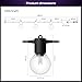 Philips Hue Festavia Globe Outdoor String Lights, White & Color Ambiance, 22ft,8 Bulbs, Dimmable, Control with Hue App or Voice, Bridge Required