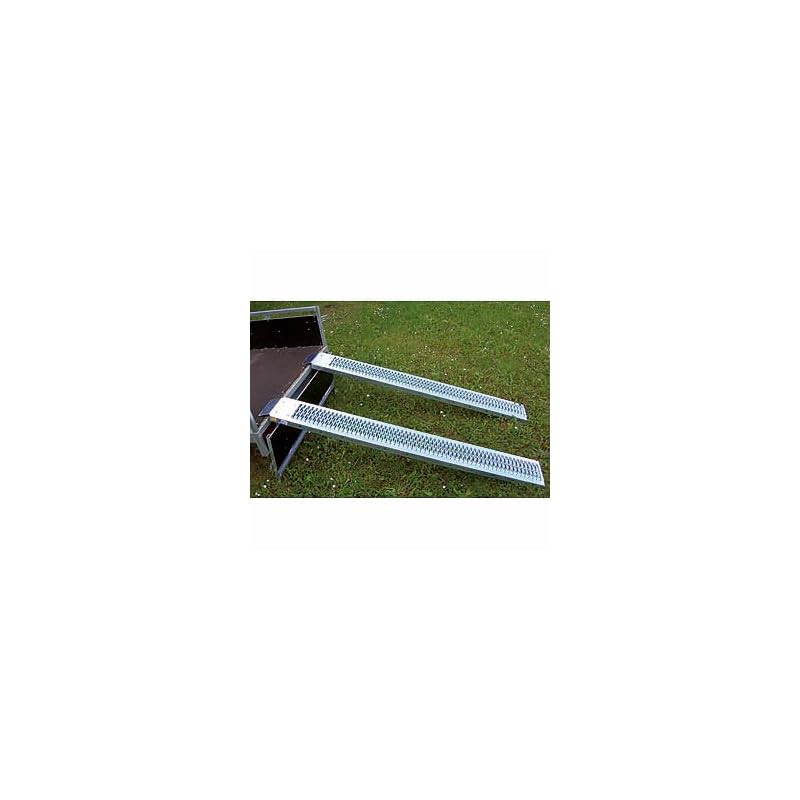 MAXTER Rampe Acier Galvanisée 192x22 cm (par 2)