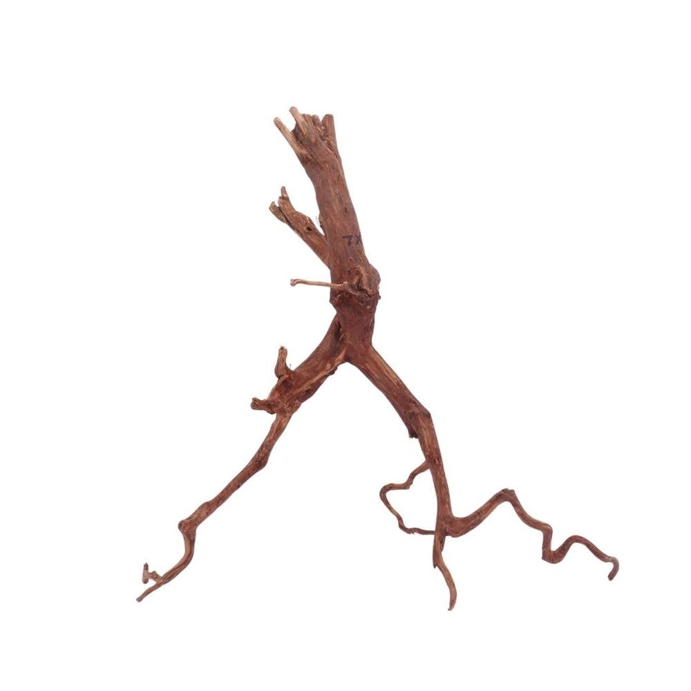 AquaOne XL Red Spider Wurzel Nr.4630 Aquarium Wurzel Moorwood Holz Deko Aquascaping Dekoration Landschaft Mangrove Moorkien Moos Natur Echtholz