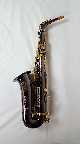 Selmer La Voix ll Alto Saxophone Outfit-Black