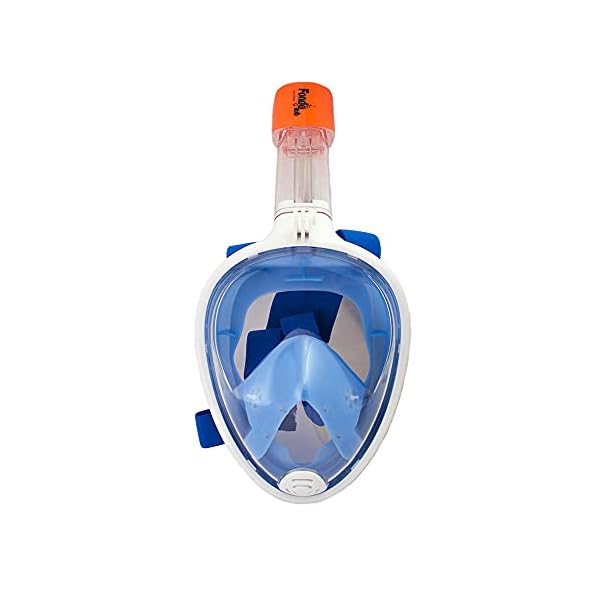 fondosub 49096LXL Schnorchelmaske, Zufällig, Adulto 7 41JNYMryvBS. SL500 . SS600