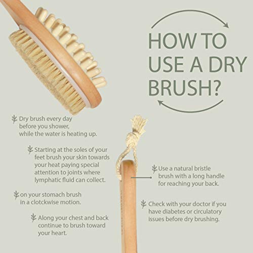 Rustic Rituals Wooden Double-sided Bath Brush With Massager and Long Handle | Dry Brushing Removes Dead Skin, Treats Cellulite & Stimulates Blood Flow - Image 5