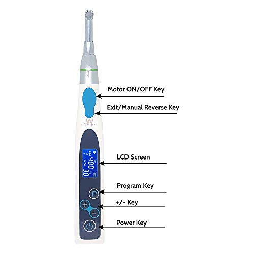 Image of Waldent EndoPro Cordless Endomotor | High-Performance Endodontic Motor for Precise Root Canal Treatments | Lightweight, Rechargeable, and Ergonomic Design for Dental Professionals