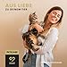 Peticare Katzen Präbiotika & Probiotika | Immunsystem stärken, Darmsanierung, Darmflora aufbauen | lindert Allergie-Anfälligkeit & Juckreiz | mit innovativem Corvitalis® Komplex - petCat Health 3501