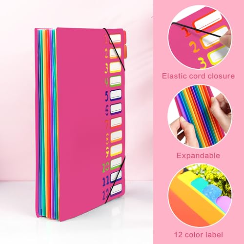Gemtte Fächermappe A4, Mappen Ordnersystem mit 12 Fächern, 24 Taschen Dokumentenmappe Folder, Bunte Wasserdicht Ordnungsmappe für Schule Bürobedarf (Rosenrot)