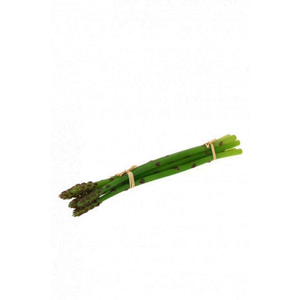 Floristrywarehouse Green Artificial Asparagus Bundle Of 5 Stalks 24Cm/9.5 Inches Long
