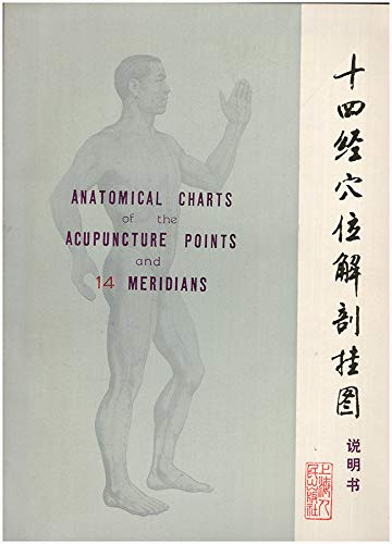 Anatomical Charts of the Acupuncture Points and 14 Meridians - | Amazon ...