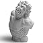 Laocoon 5.5