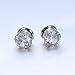 ZS Gorgeous Cubic Zirconia Tunnels Plugs 316L Stainless Steel Screw Tunnels Ear Expander Stretcher Piercing Ear Gauges Black Tunnel Gauges (Silver, 0g(8mm))