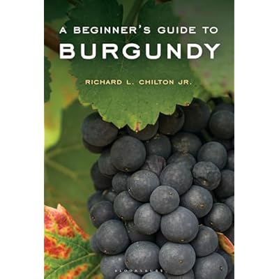 A Beginner's Guide to Burgundy