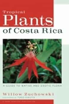 洋書 TROPICA: Exotic Plants and Trees 洋書 TROPICA: Exotic Plants and Trees 洋書 TROPICA: Exotic