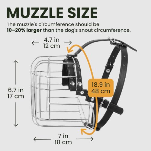 BRONZEDOG Hundemaulkorb Verstellbar Robustes PVC/Metalldrahtkorb für Große und Sehr Große Hunde mit Lederbändern Atmungsaktiv, Trinkfähig, Training, Verhindert Beißen (Great Dane, Edelstahl)