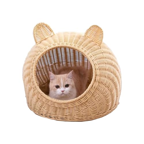 Lxbh, LbgnEX y҂݁zLpEpybgxbh lGʗp \ Č ʂ\ȃfUC ybgꏊ ^E^̔Lp [ g[ I[V[Y K ȃ}bgt IV JCC p ǎ (N[,S)