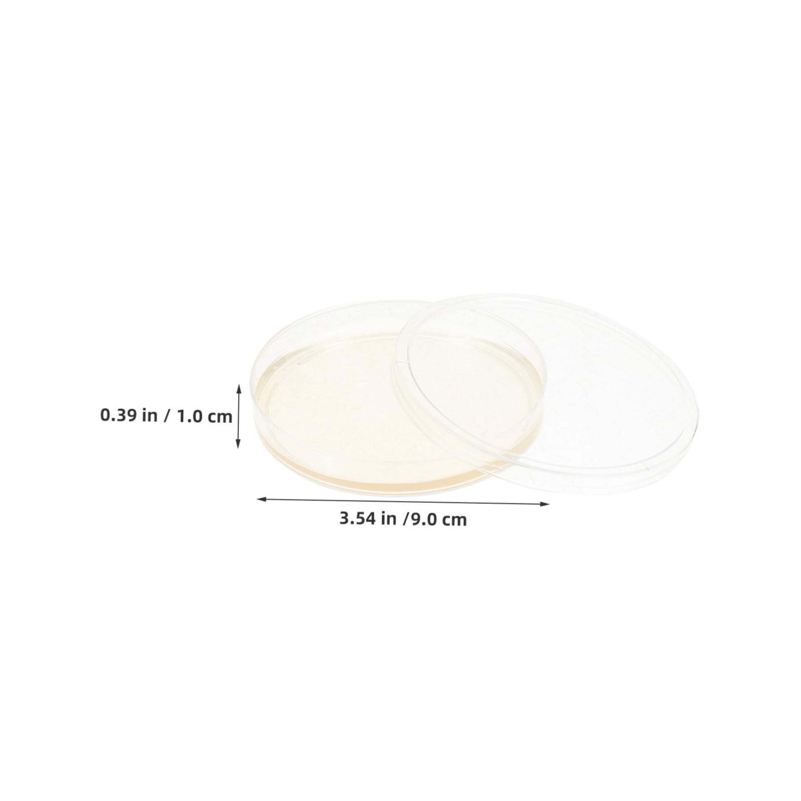 MAGICLULU Piastre di Petri Agar Nutriente Preversate 20 Pezzi Piatto Rotondo in Ps per Esperimenti Scientifici e Coltivazione Microbica in Laboratorio