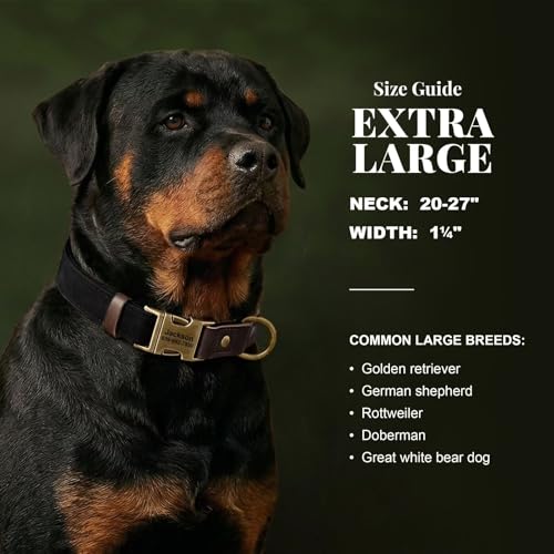 Image of Personalized PU Leather Dog Collars,Quick Release Buckle,Black,XL