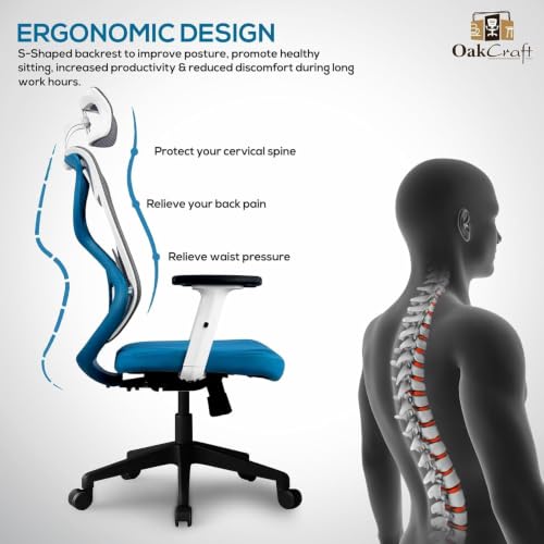 Image of Oakcraft Cyclone Ergonomic Office Chair with Multi-Lock Tilt, Seat Slider, Dynamic Lumbar Support, 4D Adjustable Armrests, 2D Headrest, Breathable Mesh High. (Blue, Hurricane)