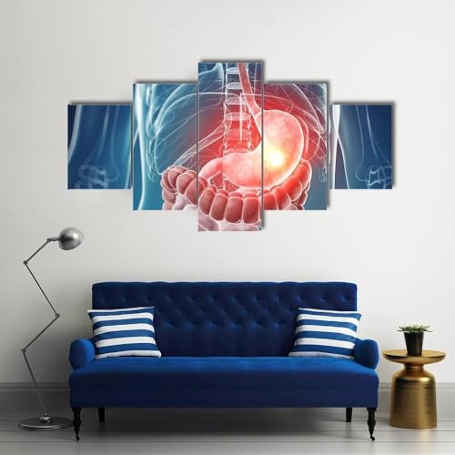 Tableau Décoration Murale pour Salon Effet Triptyque 5 Pièces Art Médical 200x100