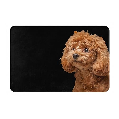 ���փ}�b�g�v�[�h�������G��(1)�A�j�������}�b�g�z�������R�ۖh�L�o�X�}�b�g�z������~�ߖh�J�r�������L���o�X���[���L�b�`���l�G���p�J�[�y�b�g40×60cmf7n103