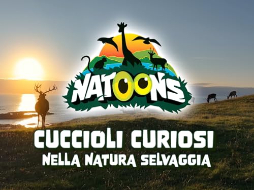  NATOONS