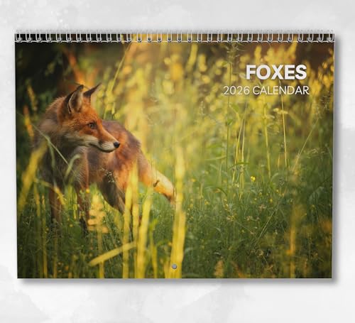 Fox Calendar 2026: Monthly Wall Calendar with Notes, Hanging