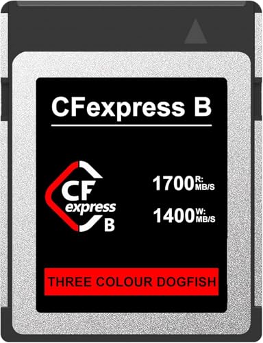 Image of Dogfish CFexpress Type B Card 512GB, Up to 1700MB /s, 8K 4K RAW Photo and Video, CF Express Flash Memory for Nikon Canon Panasonic Cameras Camcorders