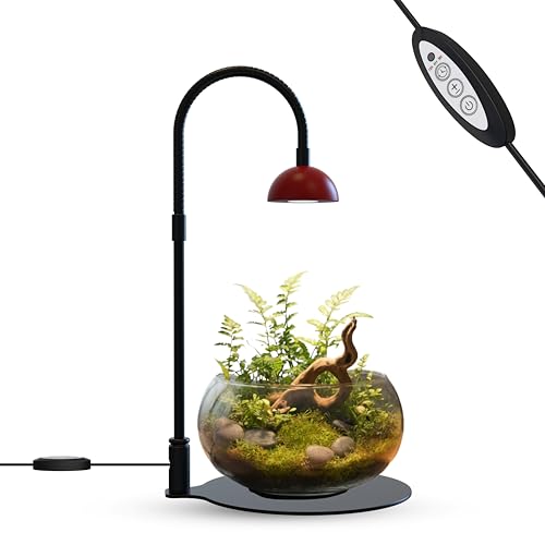 BoostGro Desktop Grow Lamp Terrarium Light Plant Light on Table with Flexible Gooseneck Lamp for Terrarium Kitchen Vetegable Succulent Lamp with Auto Timer 3/6/12Hrs 4 Brightness Levels (Red)
