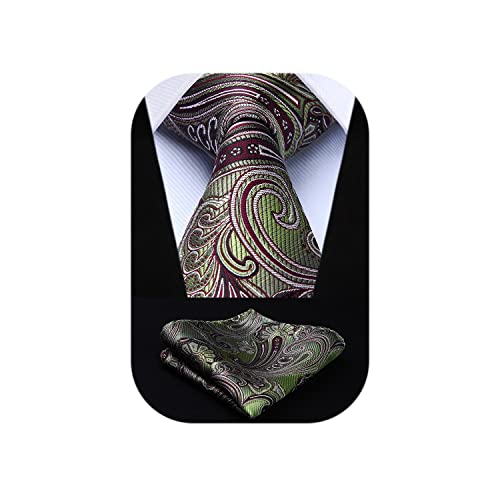 Image of HISDERN Ties for Men Paisley Tie and Pocket Square Woven Classic Floral Mens Ties Handkerchief Set Wedding Party Necktie