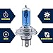 leediga 2 PCS Low Beam Halogen Bulb, High Low Beam Fog Lights, 6000K Cool White H4 Halogen, Super Bright Conversion Kit, H4 100W High Beam (Blue), LEECD1006-2PC