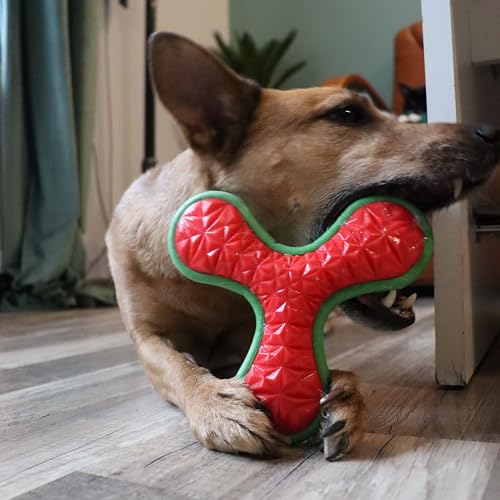 Dingo Hundespielzeug aus Hart Gummi TPR Boomerang TRI 16,5 cm 17394