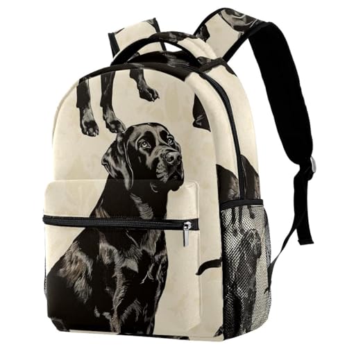 Sac à dos de voyage pour animal et école Campus idéal pour les sorties
