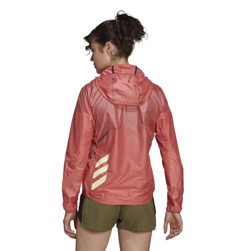 Diseño fresco y moderno para cualquier actividad deportiva