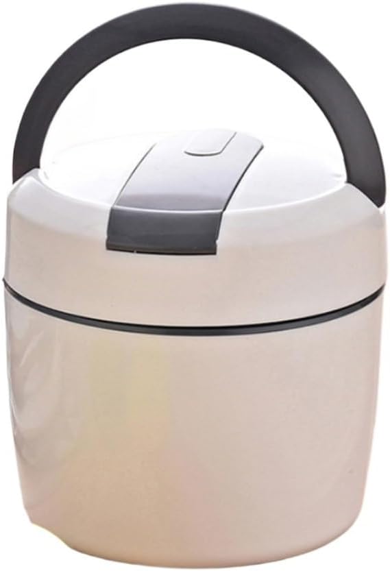 Bento Box Plastic Lunch Portable Insulated layer Separated