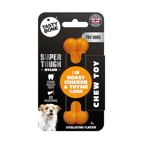 Tasty Bone Nylon Roast Chicken and Thyme Dog Chew Toy Bone Extra Small
